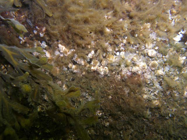P7020494