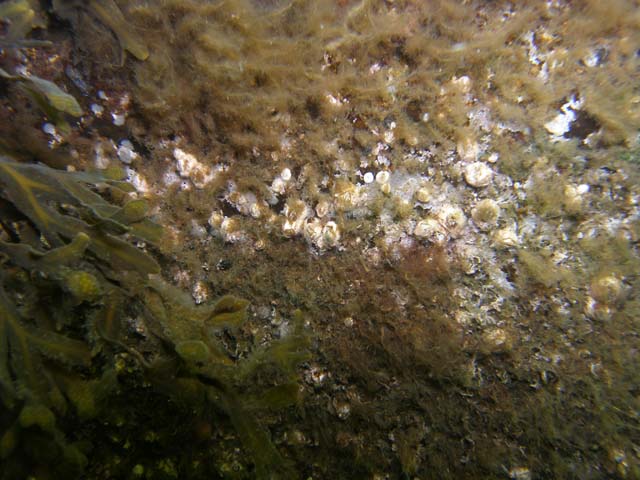 P7020495