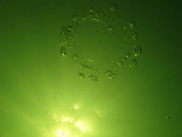 P7020507