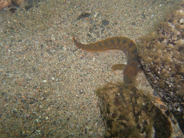 P7020516