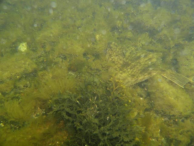 P7020545