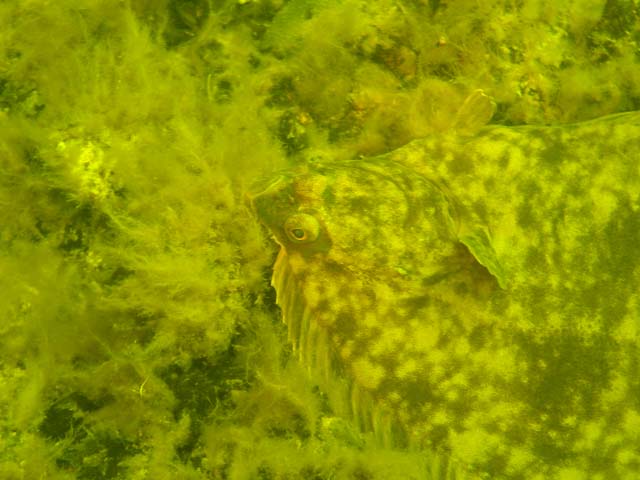 P7020551