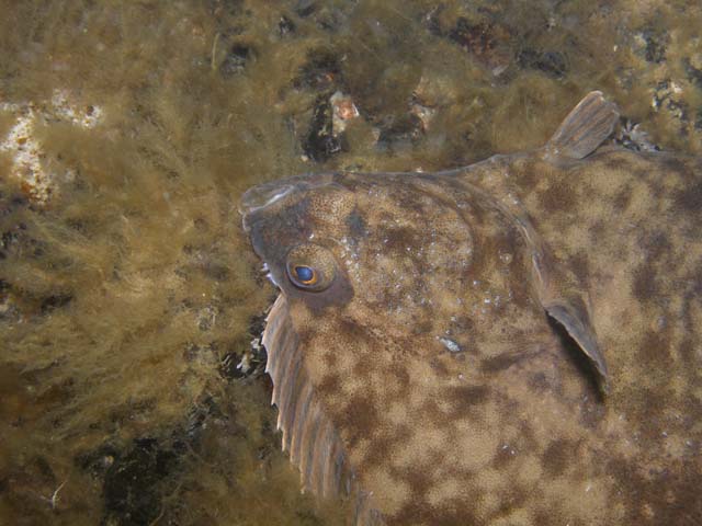 P7020553