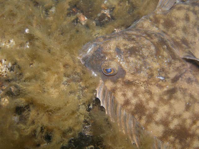 P7020554