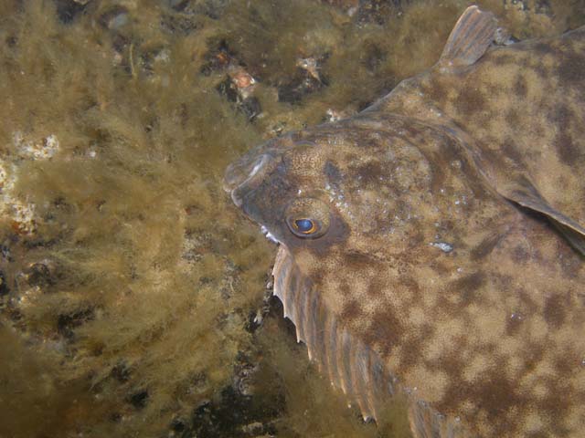 P7020555