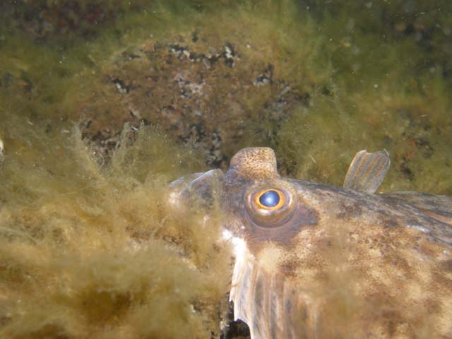 P7020558