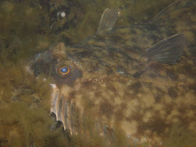 P7020565