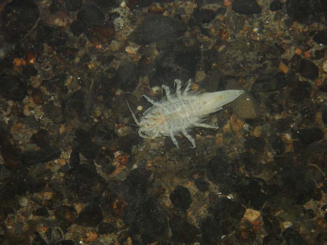 P7020579