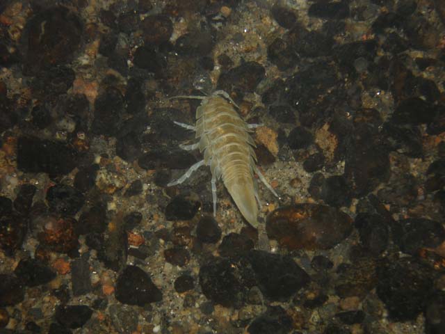 P7020580