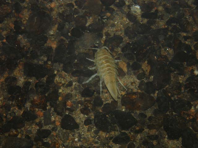 P7020581