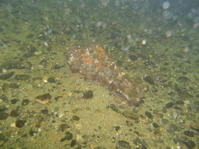P7020584
