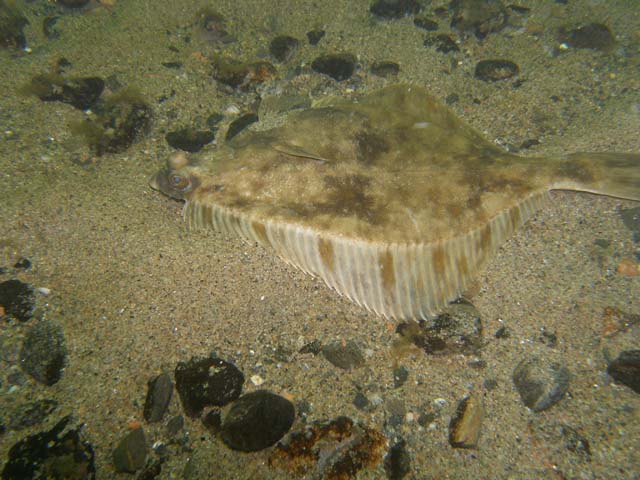 P7020587