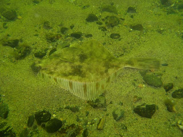 P7020588