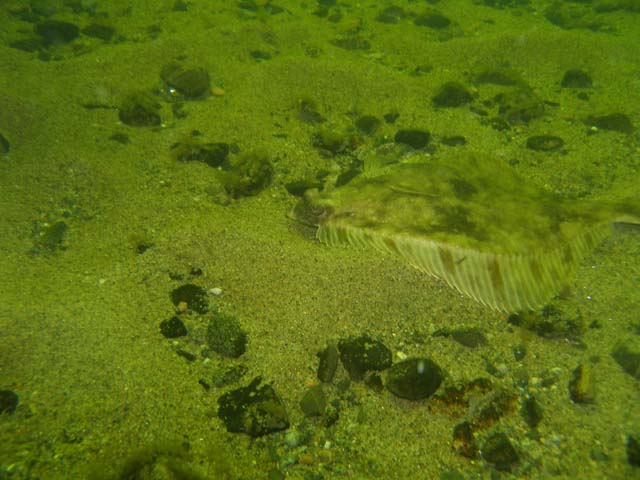 P7020589