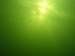 P7020503