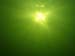 P7020504