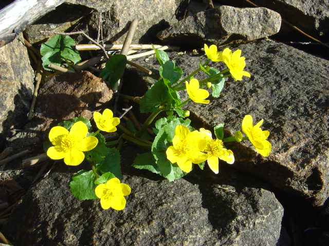 DSC01250