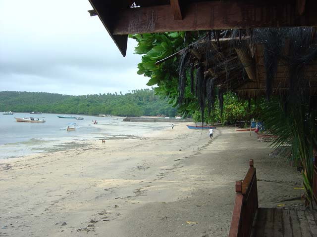DSC02511