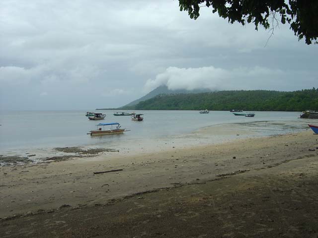 DSC02513