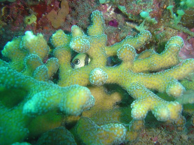 DSC02586