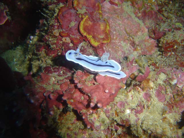 DSC02589