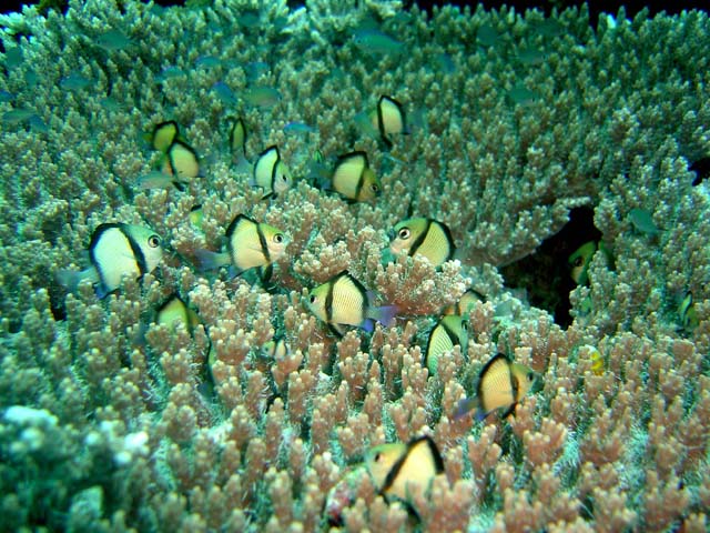 DSC02611