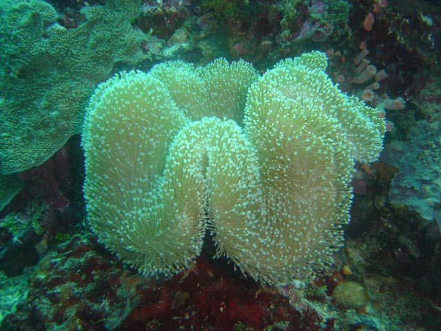 DSC02615