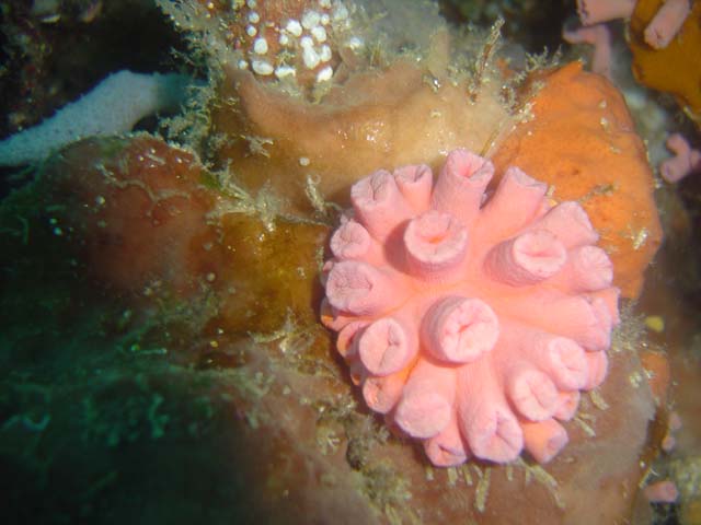 DSC02628