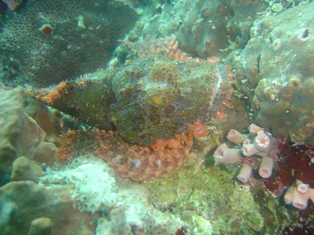 DSC02631