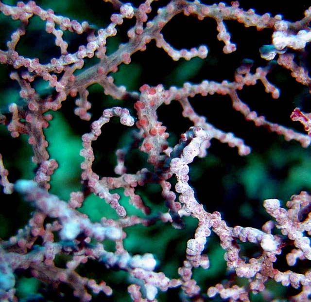 DSC02645a
