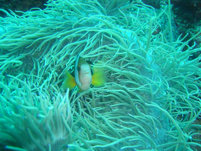 DSC02650