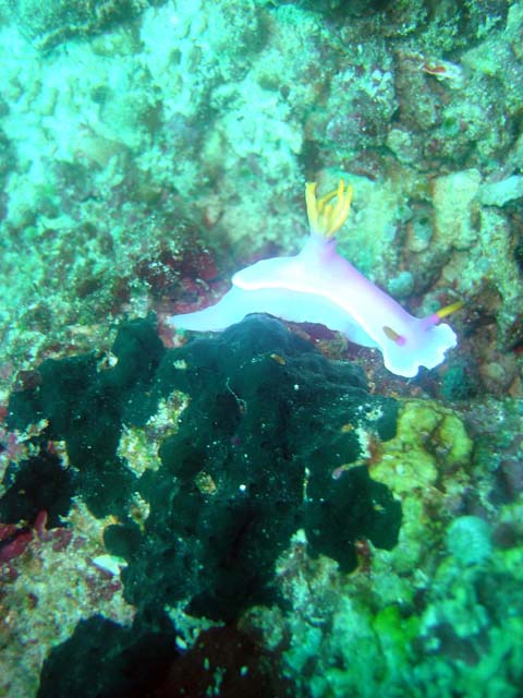 DSC02679