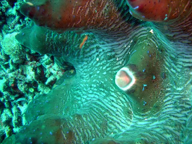 DSC02702