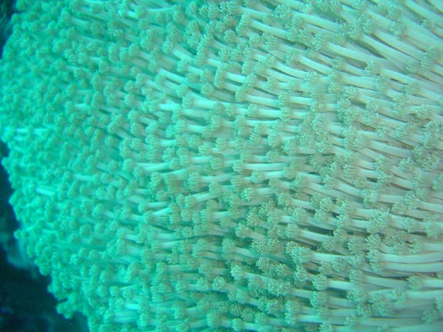 DSC02707