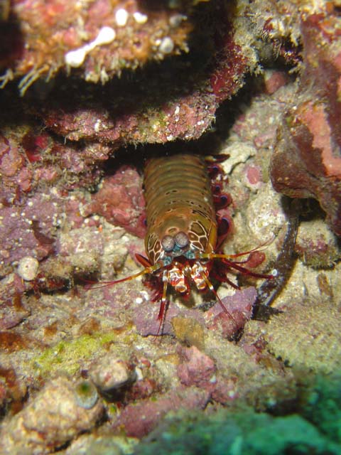 DSC02898