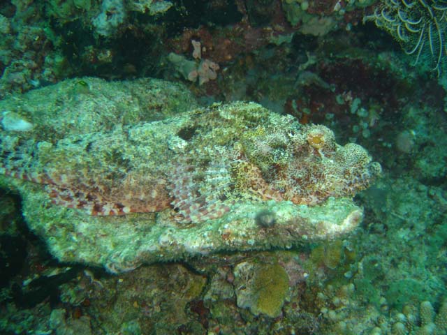 DSC02902