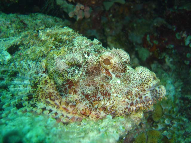 DSC02903