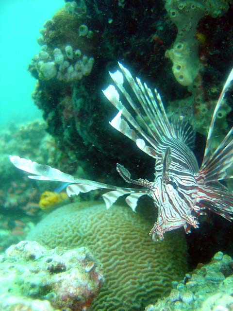 DSC02950