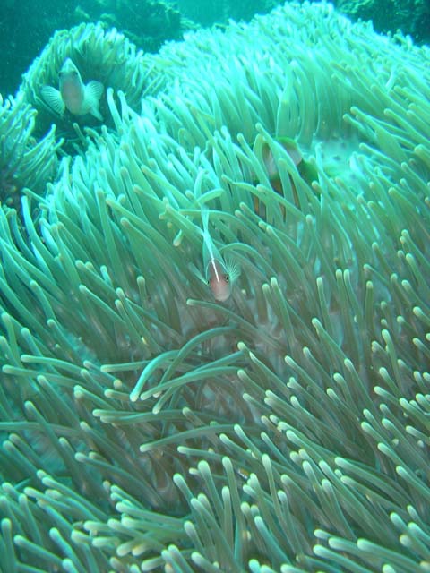DSC02965