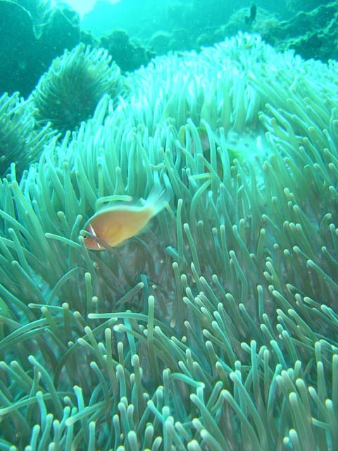 DSC02966