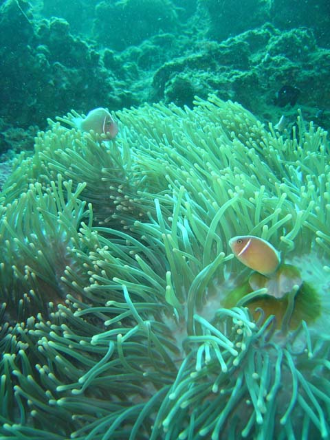 DSC02968