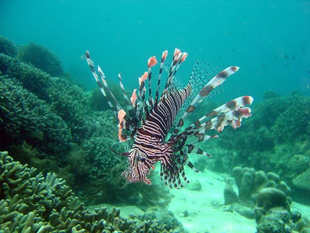 DSC02980