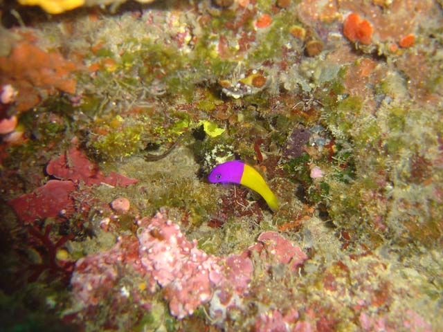 DSC03005