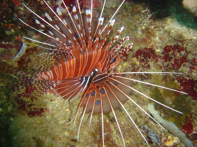 DSC03007