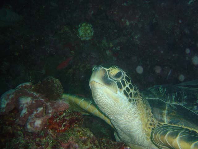 DSC03101