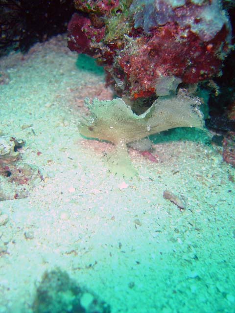 DSC03143a
