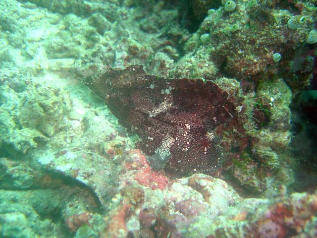 DSC03151