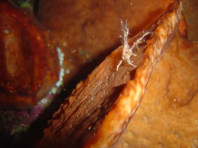 DSC03201