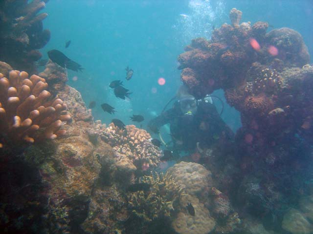 DSC03292