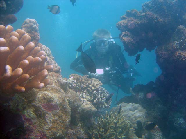 DSC03293a